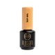 Blossom Top Gel No Wipe